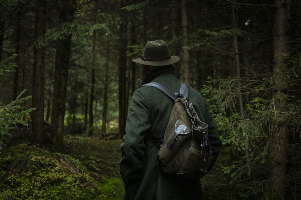 forest, nature, hunter, wilderness, wildlife, wild, hiking, black forest, outdoors, adventure, hunter, hunter, hunter, hunter, hunter, hiking, hiking